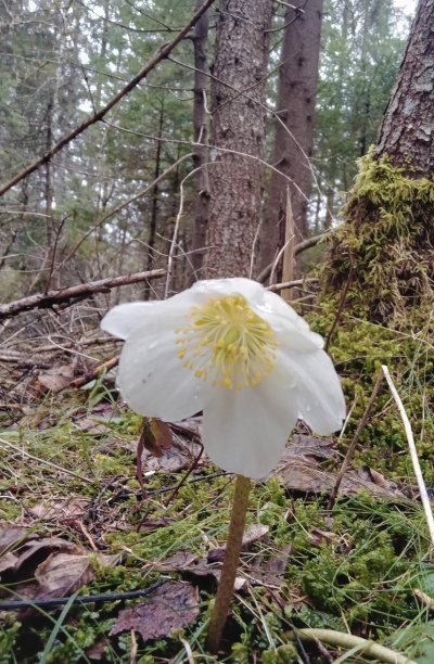 Čudovita je celotna dolina.