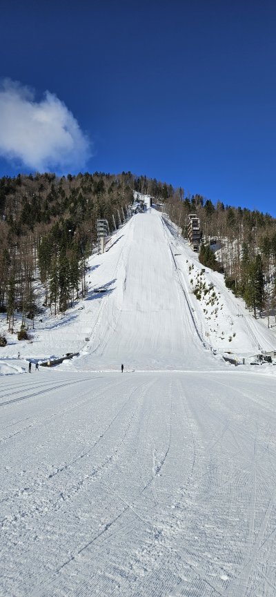 Pod planiško velikanko na sanjski zimski dan.